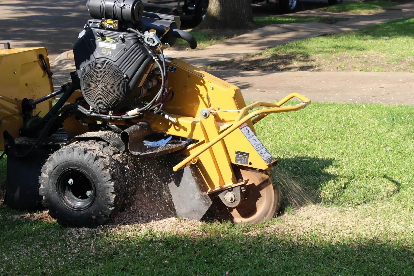 Stump grinding work at a Rosenberg property